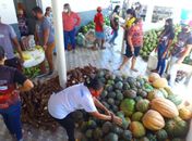 Mais de 1.000 famílias em situação de vulnerabilidade são beneficiadas com alimentos e 51 produtores rurais garantem mais renda em Delmiro Gouveia