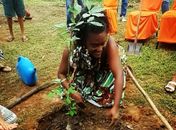 Ministério Público, em Alagoas, recebe muda do Baobá, no mês consagrado a árvore sagrada