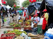 Mais uma edição da Feira da Reforma Agrária começa nessa quarta-feira (5)
