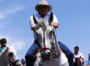 Plenário da Câmara aprova projeto que regulamenta a vaquejada