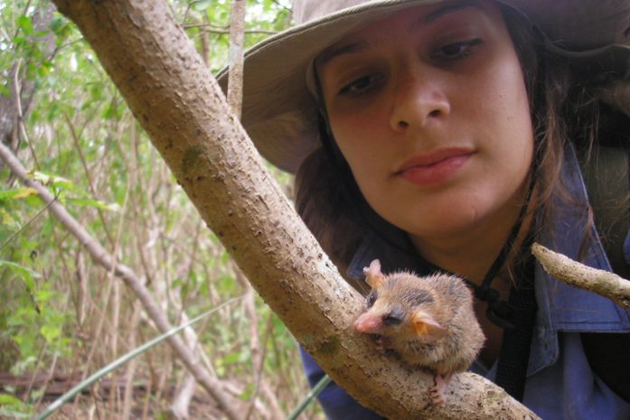 Bióloga do Museu de História Natural da UFAL lidera estudo pioneiro sobre pequenos mamíferos que vivem na Caatinga