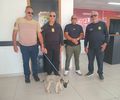 Maus-tratos e ameaças: homem é preso após ferir gravemente o próprio cachorro em AL 