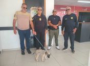 Maus-tratos e ameaças: homem é preso após ferir gravemente o próprio cachorro em AL 