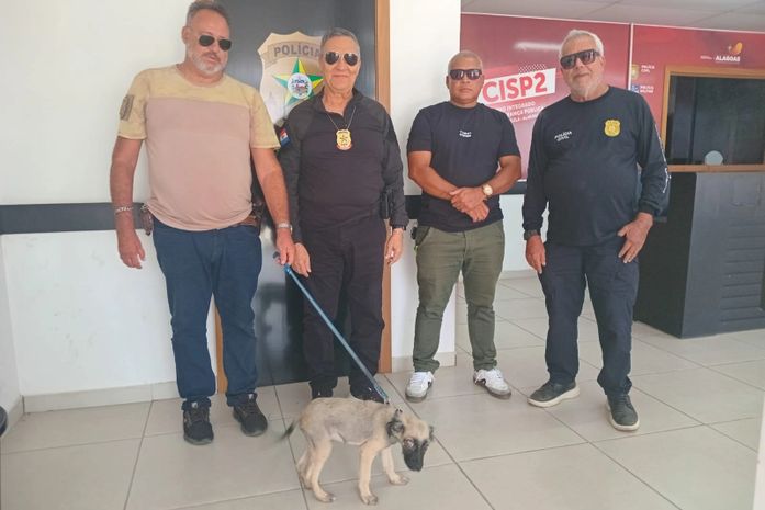 Maus-tratos e ameaças: homem é preso após ferir gravemente o próprio cachorro em AL
