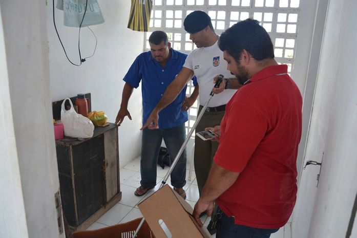 Jiboia foi retirada do local