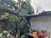 Vídeo: Árvore cai em cozinha de residência, em Maceió