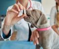 Com setor pet projetando faturamento de R$ 80 bilhões, nova farmácia de manipulação "A Fórmula PET" chega em Maceió