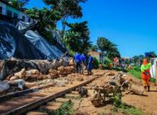 Prefeitura executa obras de contenção de barreira no Mutange