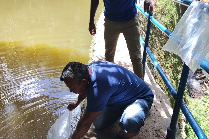 Prefeitura realiza a distribuição de alevinos para as comunidades rurais de Palmeira