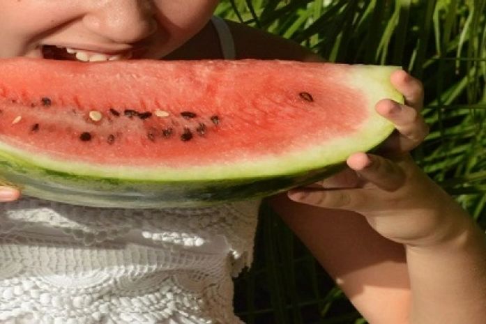 Alimentação no verão