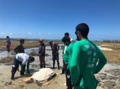 Tartaruga resgatada em Ipioca