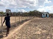 Ô, Paulo, agora que Gino voltou, fala com ele sobre Programa Agua&Mulher. Os Quilombos,em Alagoas, têm  sede, Excelência