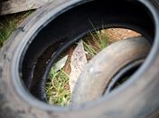 Inverno requer cuidados contra a dengue