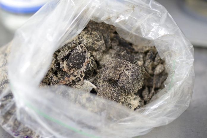 Relatório mostra situação de Maragogi onze meses após derramamento de óleo