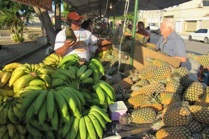 Feira da Agricultura familiar completa um ano mudando a vida do agricultor penedense