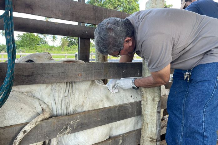 Criador de Gado Recebe Assistência Técnica em Parceria com Prefeitura de Penedo