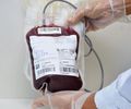 Equipe volante do Hemoal realiza coleta de sangue em Santa Luzia do Norte neste sábado (6)