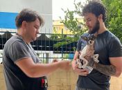 Unidade de Vigilância de Zoonoses de Maceió realiza vacinação de cães e gatos após confirmação de morcego com raiva