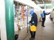 Mercado Público de Arapiraca passa recebe serviços de dedetização