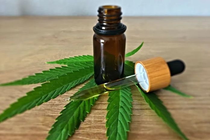 Anvisa apresenta proposta para regulamentar produção de cannabis medicinal no Brasil
