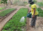 CMN aumenta teto de financiamento para produtores de baixa renda comprarem terra