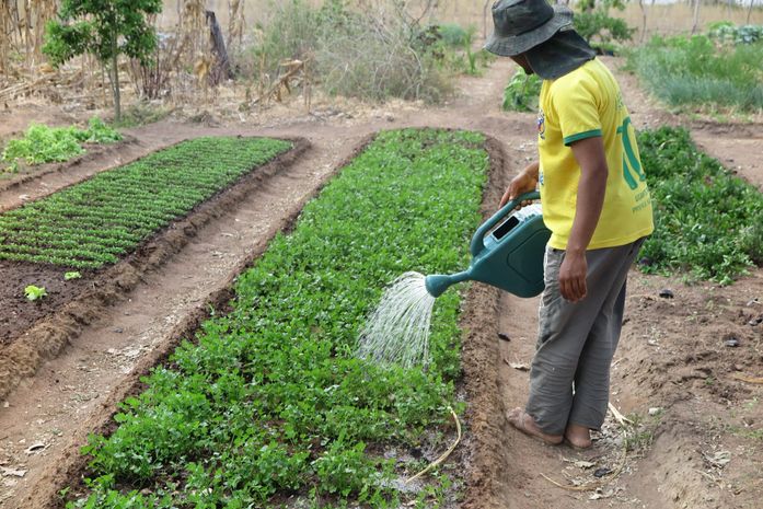 CMN aumenta teto de financiamento para produtores de baixa renda comprarem terra