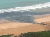 Língua suja em Guaxuma