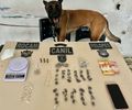 Com auxílio de cão farejador, PM prende homem em ponto de drogas em Arapiraca