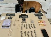 Com auxílio de cão farejador, PM prende homem em ponto de drogas em Arapiraca