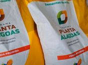 Estão abertas as inscrições para o Programa Planta Alagoas em Delmiro Gouveia