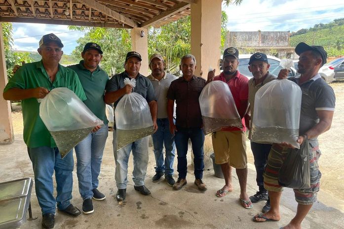 Incentivo à piscicultura: prefeitura de Branquinha entrega nova remessa de alevinos