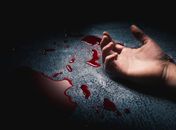 Imagem meramente ilustrativa