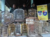 Durante feriadão, BPA realiza operações e encontra diversas irregularidades