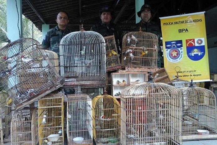 Durante feriadão, BPA realiza operações e encontra diversas irregularidades