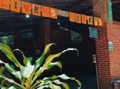 Projeto Livros Livres é ótima opção para quem deseja unir leitura e natureza