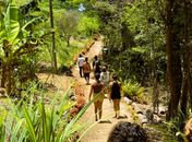 Circuito Corpo, Arte e Natureza promove imersão artística em meio à Natureza, em Maceió

