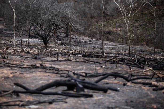 Fiscalização flagra mais de dois hectares de caatinga dematados em São José da Tapera