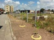 Slum implanta três pontos vivos para coibir descarte irregular