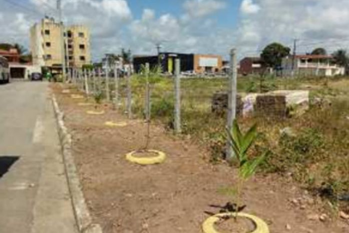 Slum implanta três pontos vivos para coibir descarte irregular