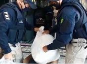Passageiro de ônibus interestadual é preso com 115kg de cocaína na BR-101, em Rio Largo