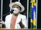 Na primeira sessão após recesso na Câmara, Tereza Nelma cobra efetividade na execução da Lei Maria da Penha