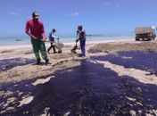 O óleo nas praias do NE, a leniência do governo e a omissão de empresários