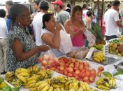 Confira o calendário das feiras livres em Arapiraca durante o carnaval