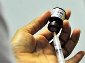 Vacina contra a febre amarela é recomendada para todo o país; 101 municípios de Alagoas estão no cronograma