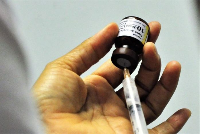 Vacina contra a febre amarela é recomendada para todo o país; 101 municípios de Alagoas estão no cronograma