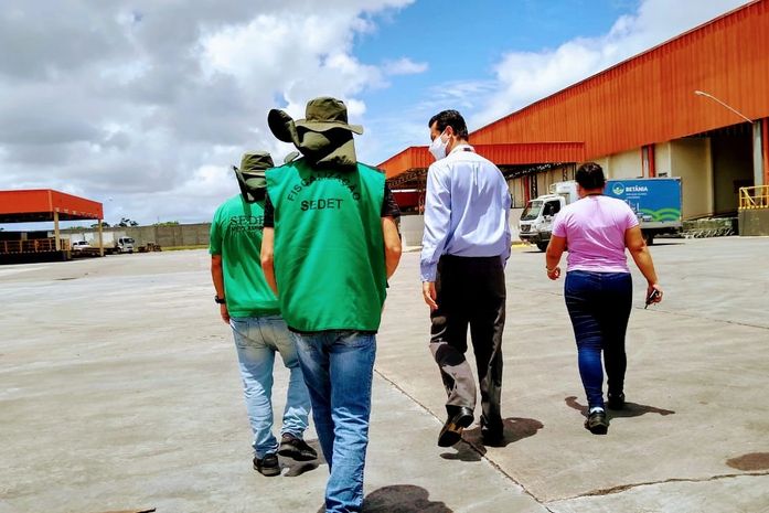 Quase 400 processos de fiscalização ambiental são encaminhados em três meses
