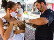 Nova vacinação antirrábica deve acontecer na Serraria após falta de vacina