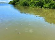 Rio Santos Antônio