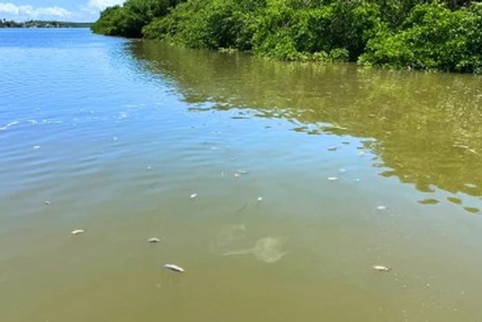 Rio Santos Antônio
