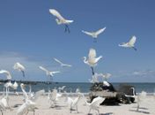 Museu da Imagem e do Som de Alagoas recebe exposição “Jaraguá, Paisagem-Miragem”
